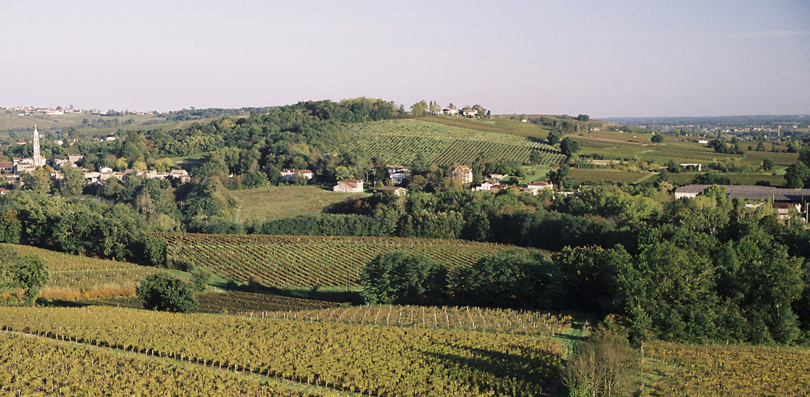 Bordeaux-Haut-Benauge-blanc-sec-1