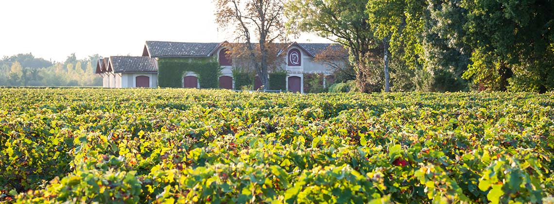 Château Cheval Quancard und der Umweltschutz im Weinanbau