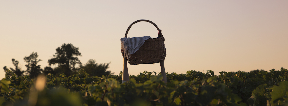 5 manières d’apprécier les couchers du soleil avec les vins de Bordeaux