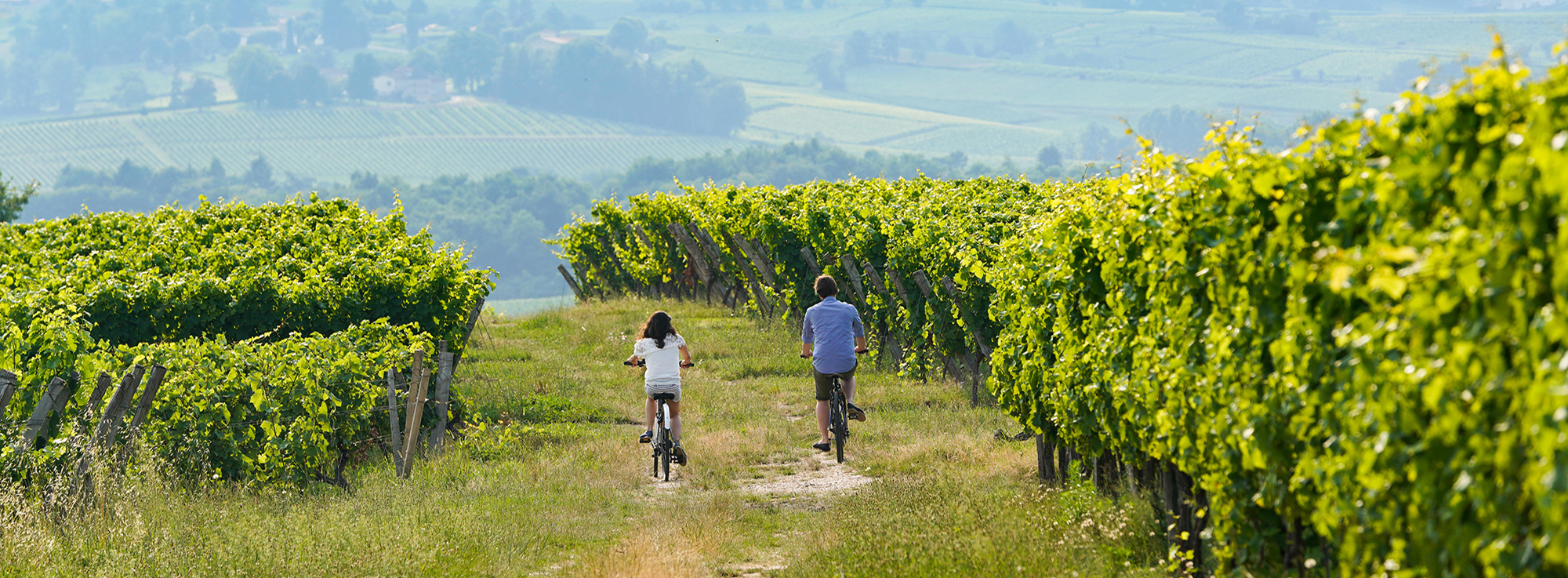Bordeaux by bike: A weekend cycling through the vineyards